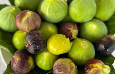 Masseria Casina Montana - Foto 72