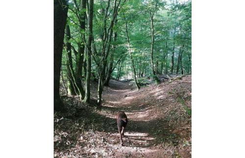 Holiday Apartment Kerstin - Foto 44