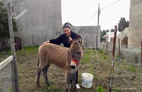 agriturismo u zu peppino - Foto 16