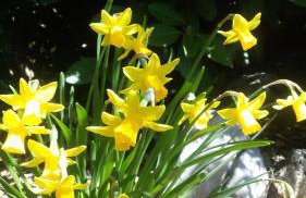 Villa Rustica - Photo 94