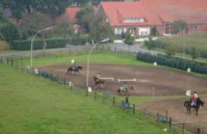 Reiterhof Koenning - Foto 34