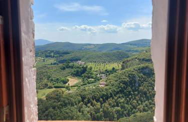 Guest House Piazza Marconi - Foto 15