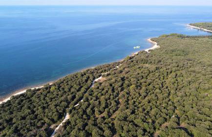 Apartmani Lisicak - Photo 25