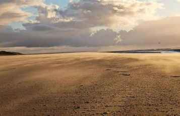 Le Bout des Dunes, baie de Somme - Foto 28