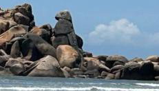 Welcome to Paradise! Ponta da Barra in Laguna! - Foto 2