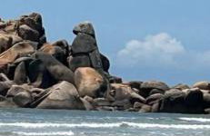 Welcome to Paradise! Ponta da Barra in Laguna! - Foto 2