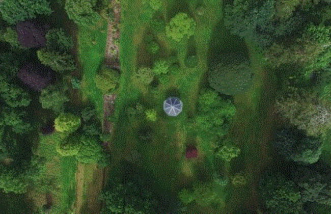 Virginia Park Lodge - Foto 45