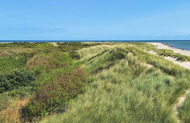 4 Star Holiday Home in Skagen - Foto 30