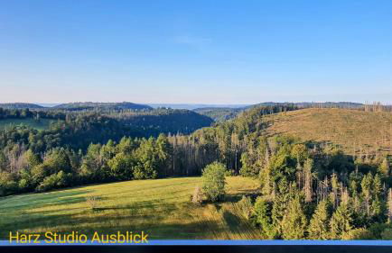 Modernes Harz Studio Apartment Ferienwohnung über den Baumspitzen - Foto 1