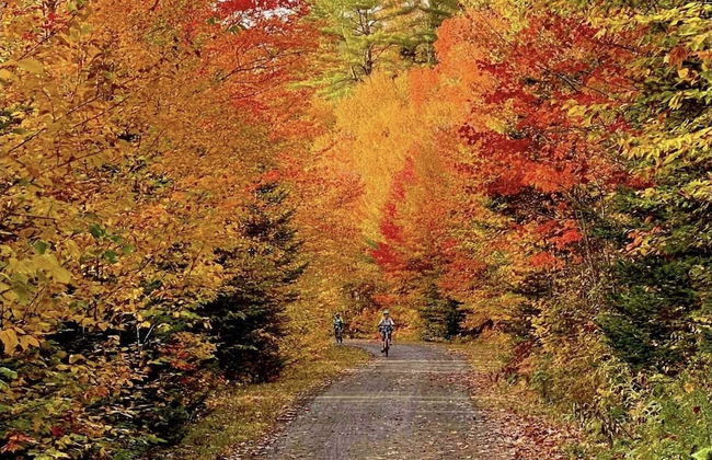 St-Sauveur Lovely Studio - Photo 63