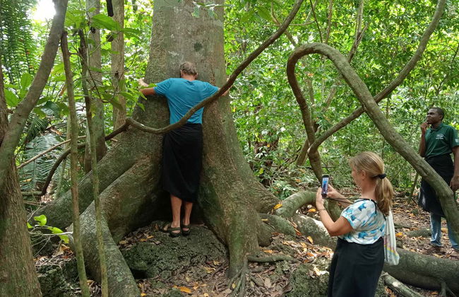 Tour por el bosque Kaya Kinondo - Foto 3