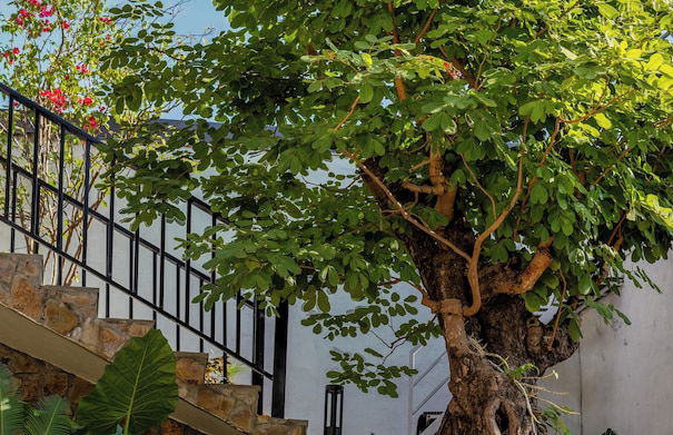 Ecorest Villa Cat Ba - Foto 59