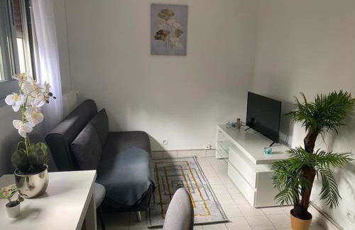 Appartement cosy 15 min d'Orly - Foto 1