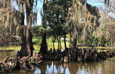 Cypress ChaletCaddo Lake Cabin with Kayaks - Foto 29
