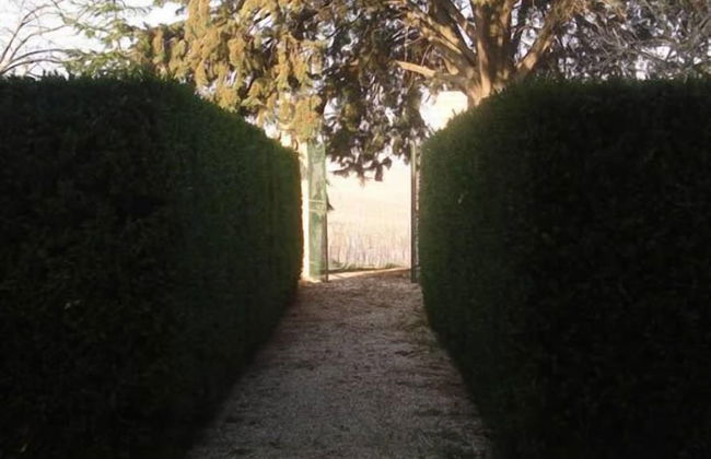 Subretia Residenze di Campagna - Photo 39