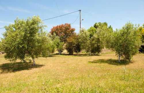 OLIVES Estate APARTMENTS Grande - Foto 18