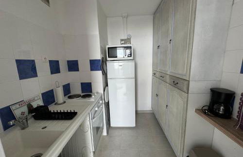 Rêve Marin, vue imprenable sur l'océan - Foto 14