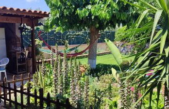 Mozart House Studio - Foto 62