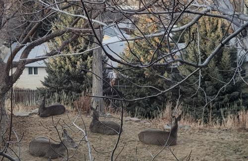 Mountain View Lodging Cody - Foto 61