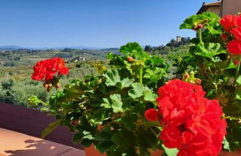 Cirillino Apartament - Foto 11