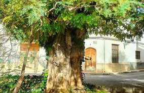 Manzaneque Rural House - Foto 28