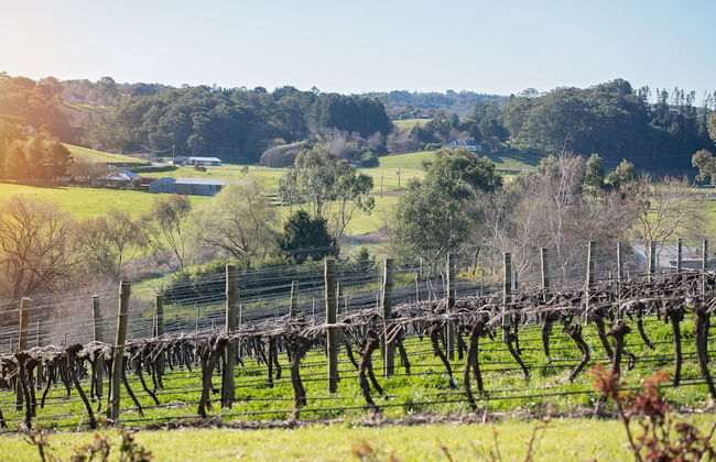 The Other House - Photo 24