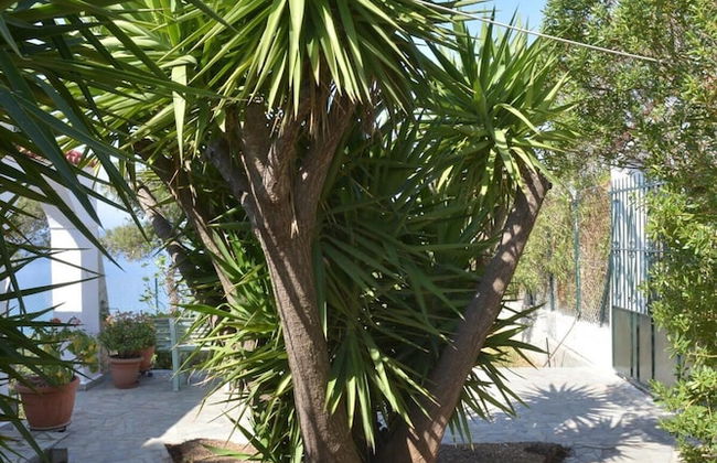 Salamis Beachfront House - Foto 42