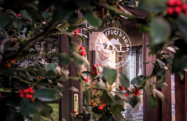 El Refugio de Aran Vielha Aparthotel - Foto 70