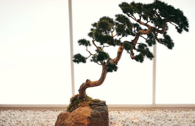 nol kyoto sanjo - Foto 17