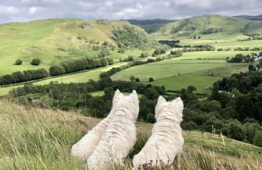 Balbeg Cottage - Photo 42