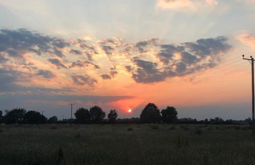 The Hat's Hut - Foto 15