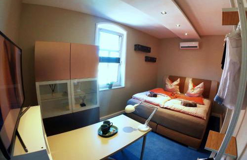 Purer Luxus in Zwickau Planitz - Exklusive Ferienwohnung für bis zu 10 Personen! - Foto 20