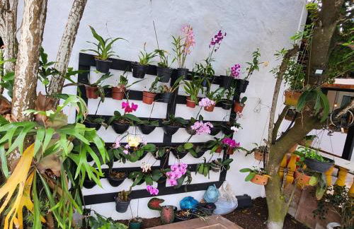 Casa da Dani - Foto 16