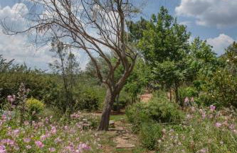 Family Getaway in Marathon by GHH - Foto 40