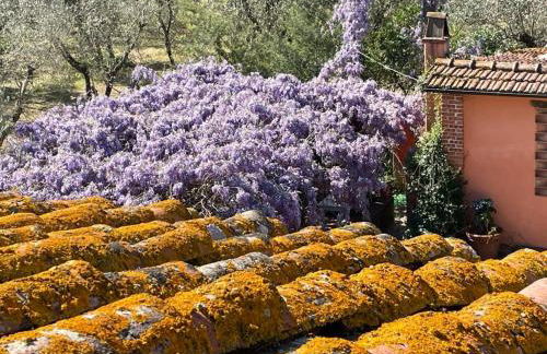 Agriturismo Podere Marchiano - Foto 141