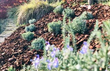 Agriturismo Marcarini - Foto 72