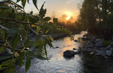 Domek w Górach Wilkanów Park - Foto 32