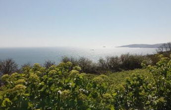 Dolphin Cottage 50m from Shaldon Beach! - Foto 17