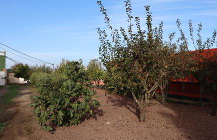 Casa rural Finca Don Amado, San Mateo - Foto 53