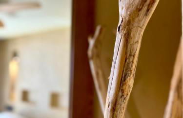 Apartamentos Flores playa - Foto 55