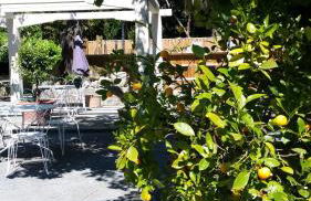 Le Clos du Loup - Foto 4