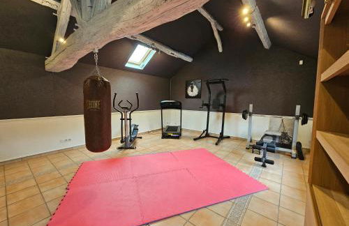 Villa familiale La Finca du champ de l'eau Avec sauna jacuzzi proche de Disney et Paris - Foto 19