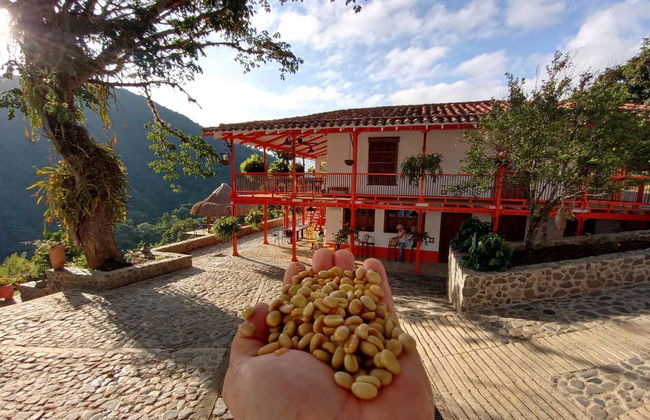 Tour por una finca de café de Salgar - Foto 6