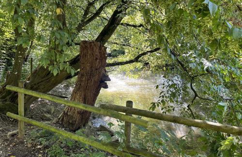 Ferienwohnung Sauerland an der Ruhr - Foto 36