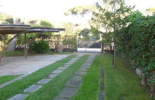 il geranio - Foto 34