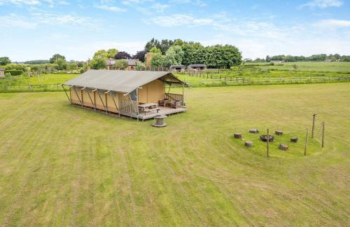 Fallow - Uk47397 - Foto 17