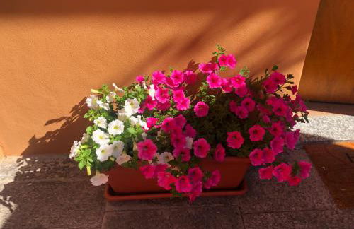 La Corte 1813 MXP Lago Maggiore Leonardo - Foto 19