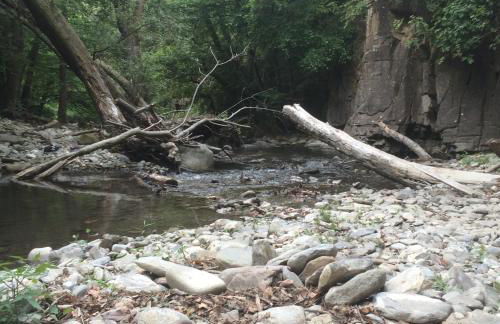 Giardino di Potentino - Foto 31