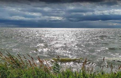 Holiday home Kamminke - Insel Usedom 3203 - Foto 17