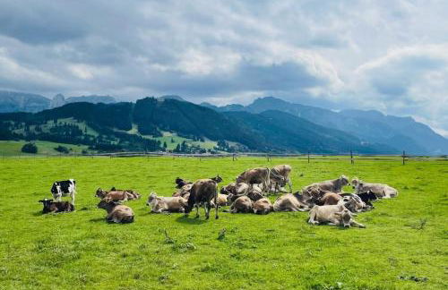 Apartment Alpenblick 11, Halblech im Allgäu, Bergblick pur - NEUERÖFFNUNG! - Foto 23